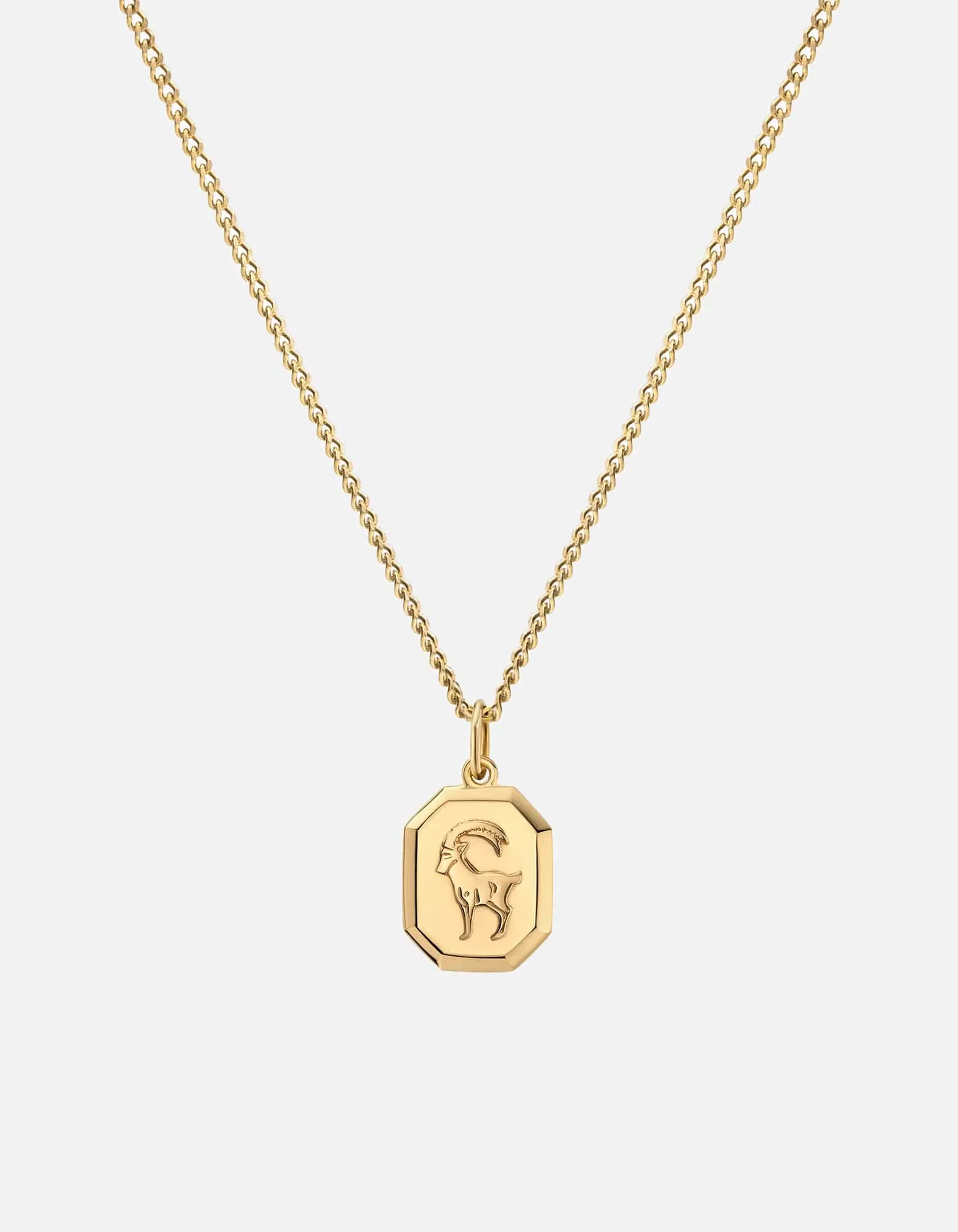 Capricorn Nyle Necklace, Gold Vermeil