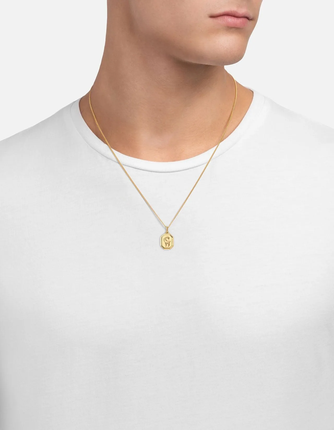 Capricorn Nyle Necklace, Gold Vermeil