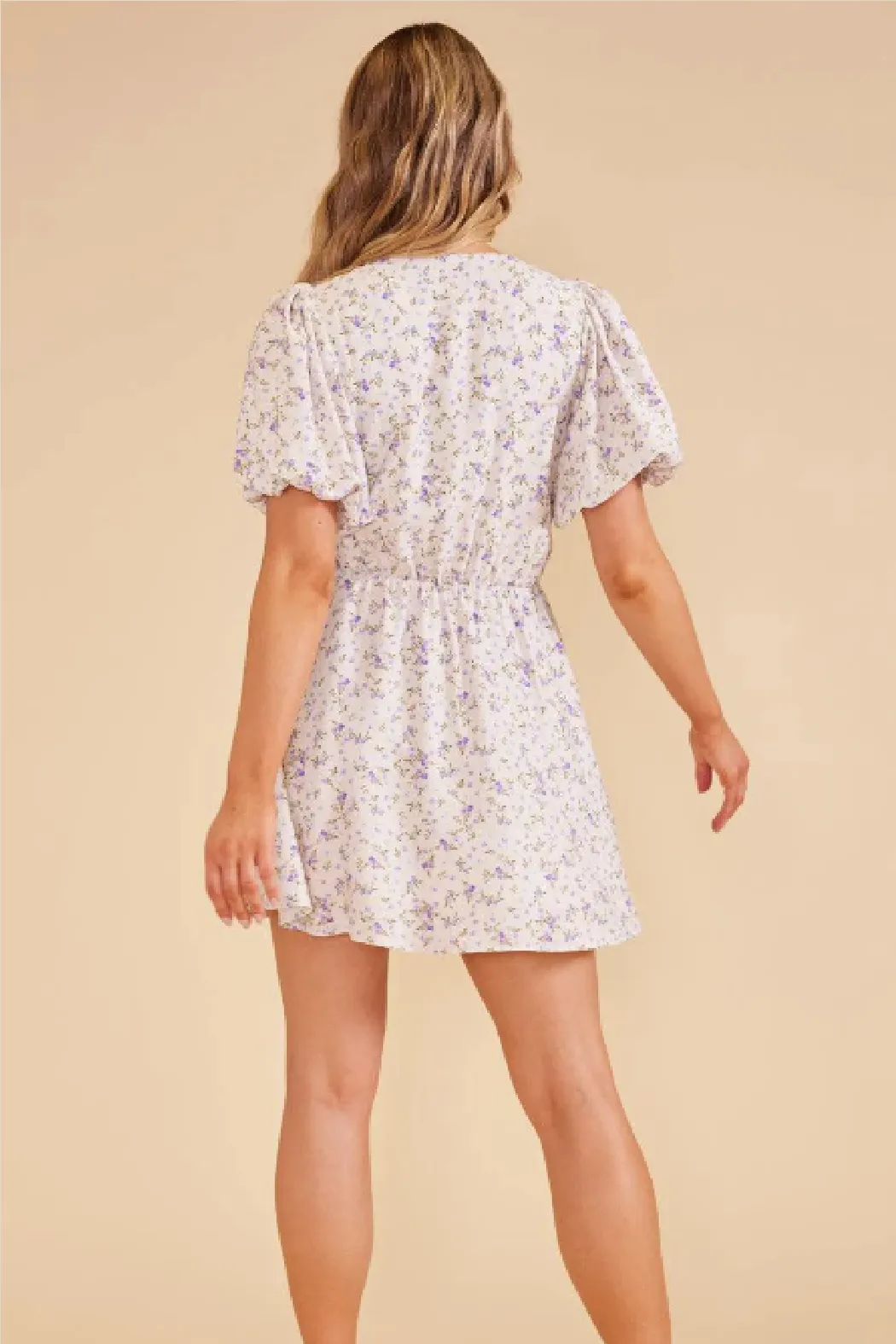 Hailey Mini Dress